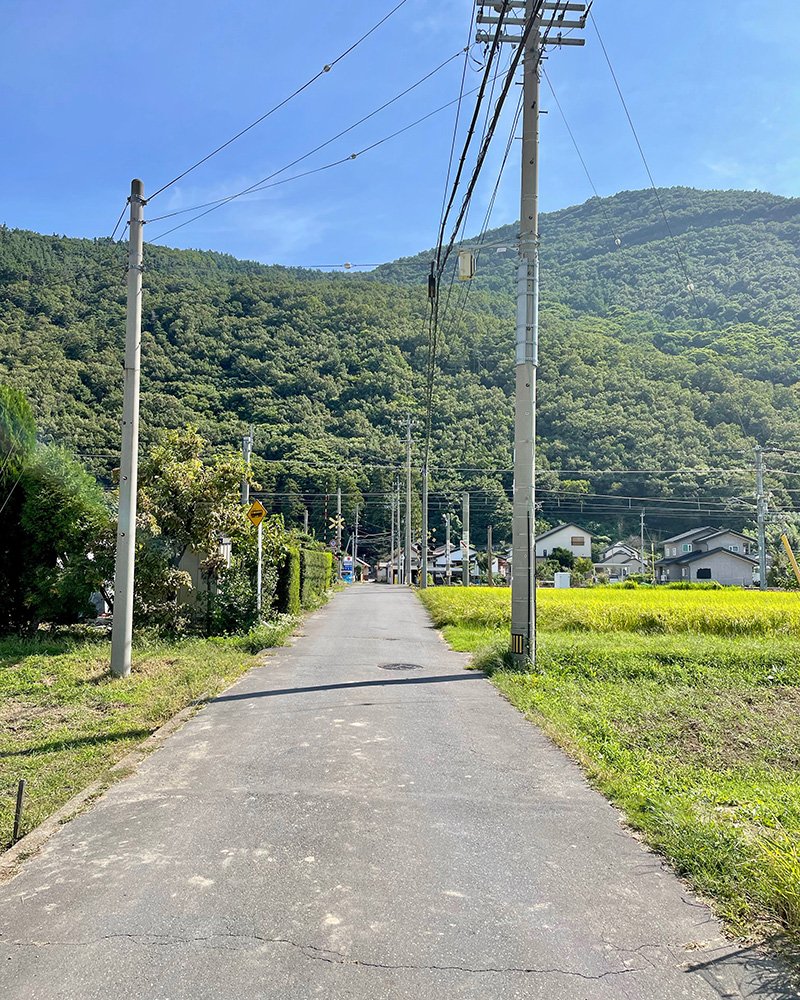 柏王神社へ寄り道の写真