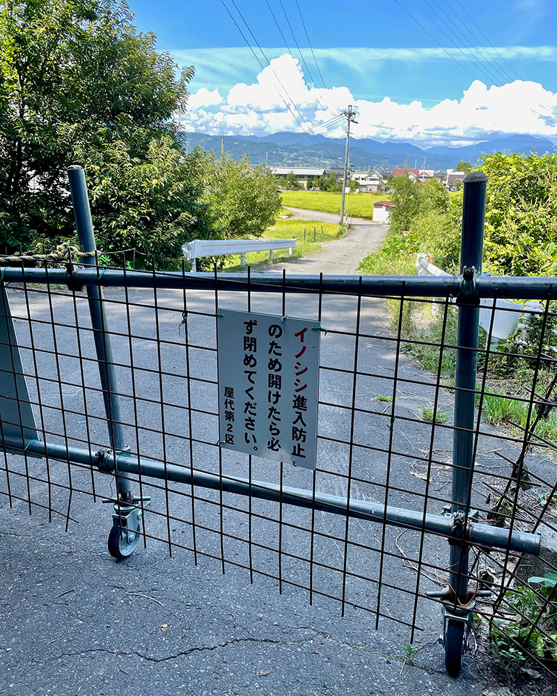 北国街道へと向かう写真