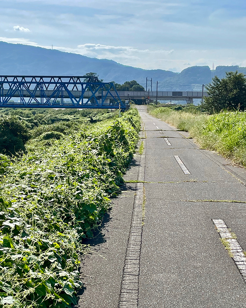 渡河地点まで土手道を行く写真