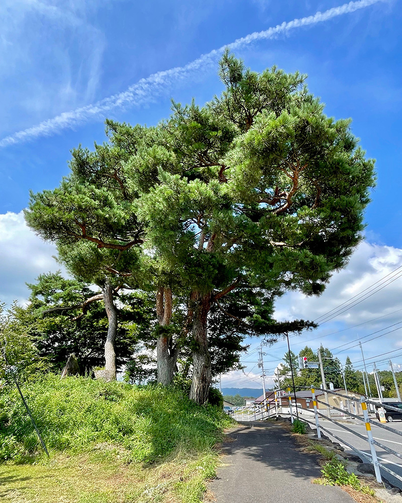 三本松の峠の写真