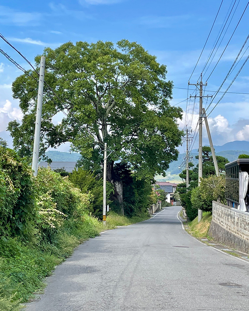 四ツ屋の一里塚の写真