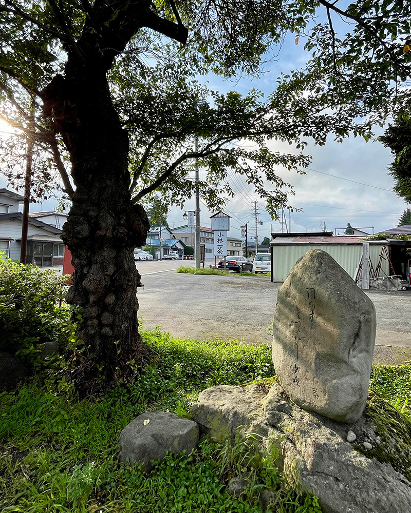 「門の木も先つつがなし夕涼」の碑の写真