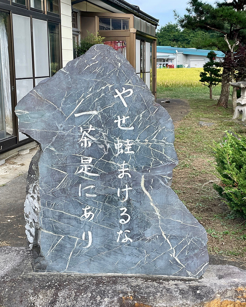 あちこちに一茶の句碑の写真