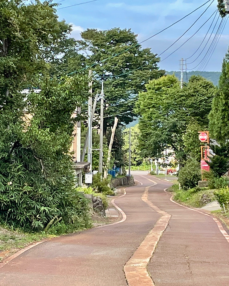 茶色に染まった道が続いていく写真