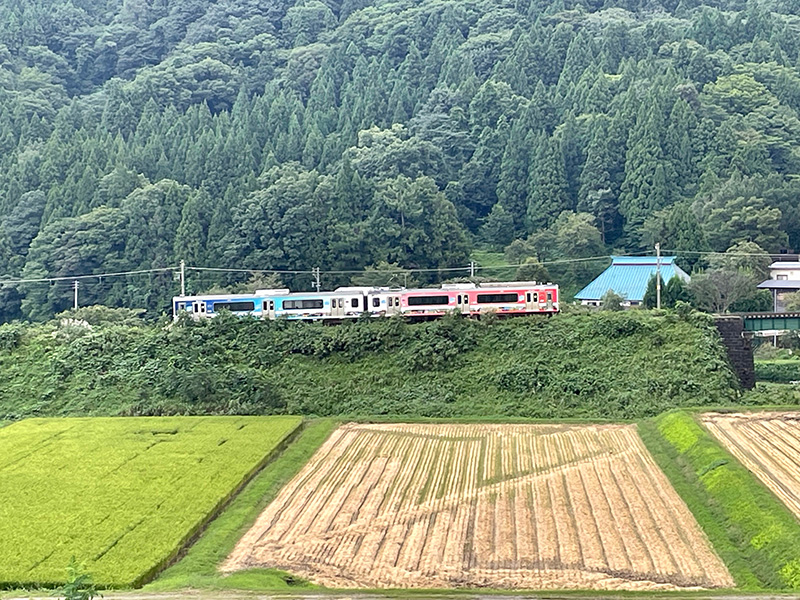 妙高はねうまラインの列車が通る写真