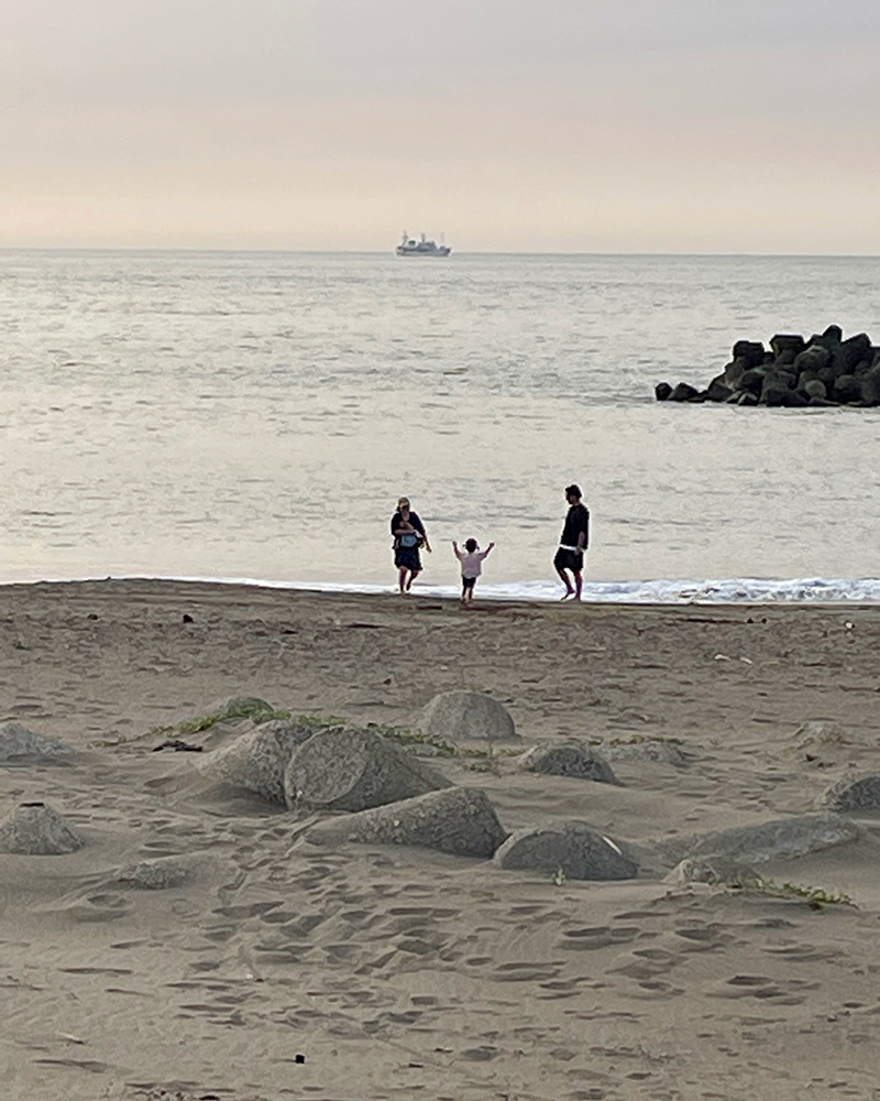 浜辺で遊ぶ家族の写真
