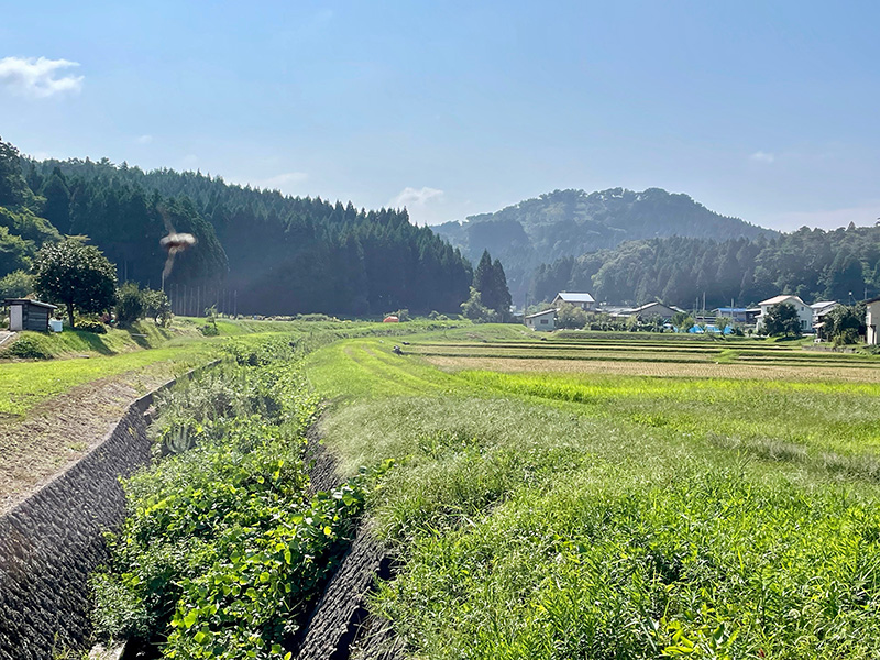 御館川から春日山城を望む写真