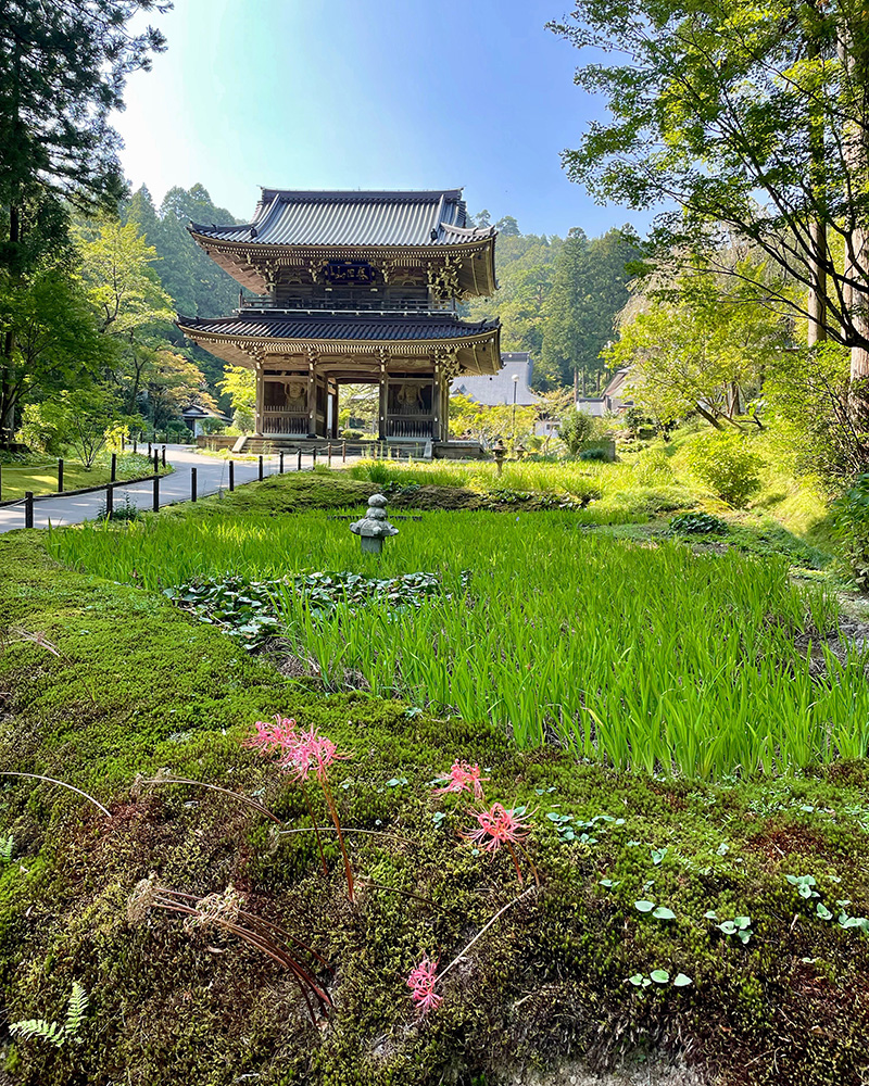 林泉寺に立ち寄る写真