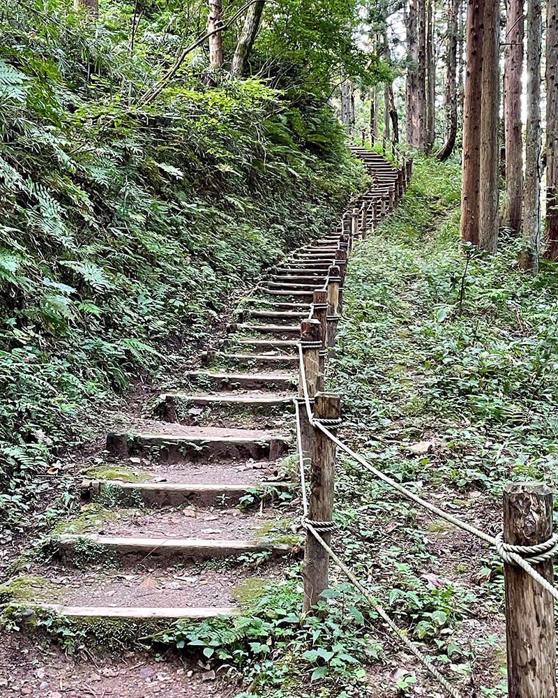 ぐんぐん登っていく写真