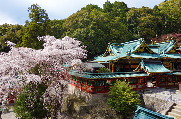 久能山東照宮(出典:久能山東照宮HP)の写真