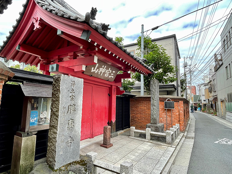 徳川将軍家の御殿があった場所、古いものも共存している写真