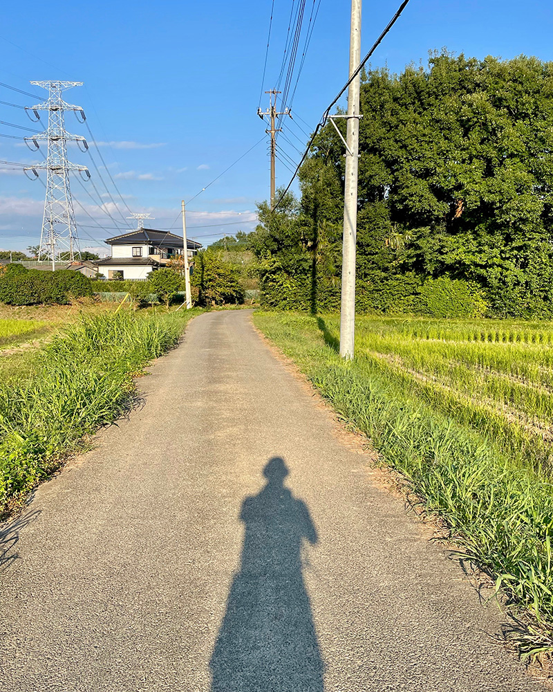 日が傾いてきた写真
