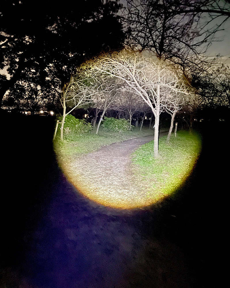 懐中電灯を灯しながら進む写真