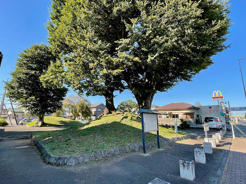 小金井一里塚の写真