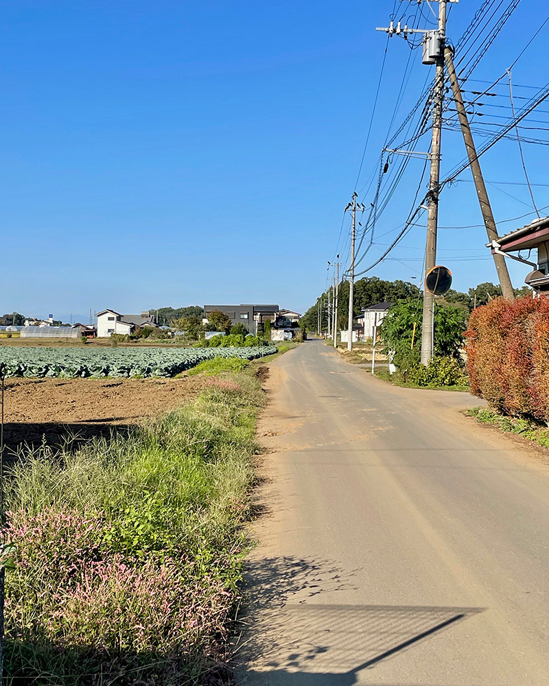 のどかな道が続く写真