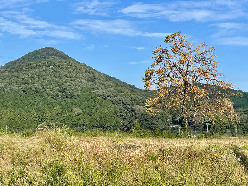 初秋の風景の写真