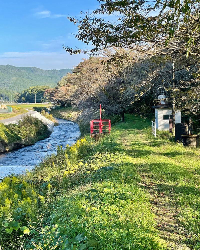 石那田堰のあたりの写真