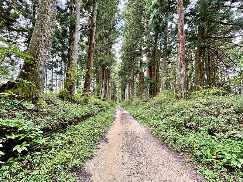 日光杉並木街道が始まった写真
