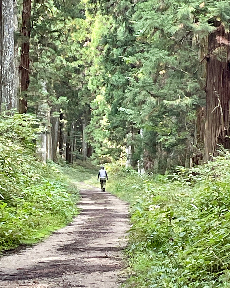 前を歩く男性の写真