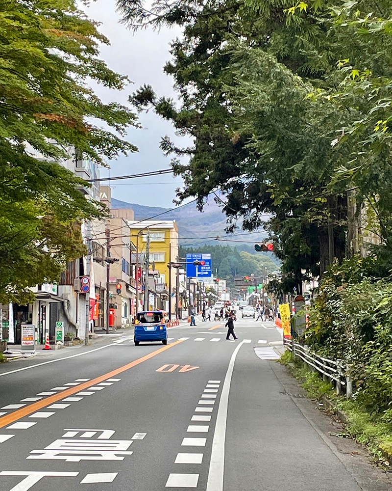杉並木の向こうは日光市街地だの写真