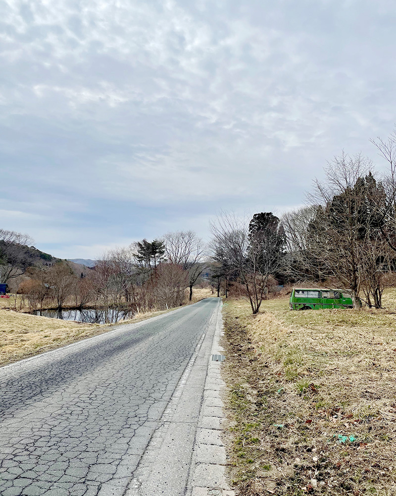 緑のヒッピーバスが置き去りにされていた写真