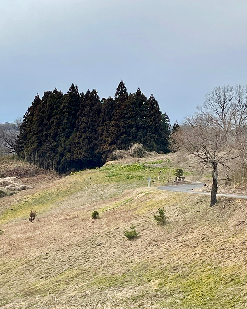 晴れていたら前方に安達太良山の写真