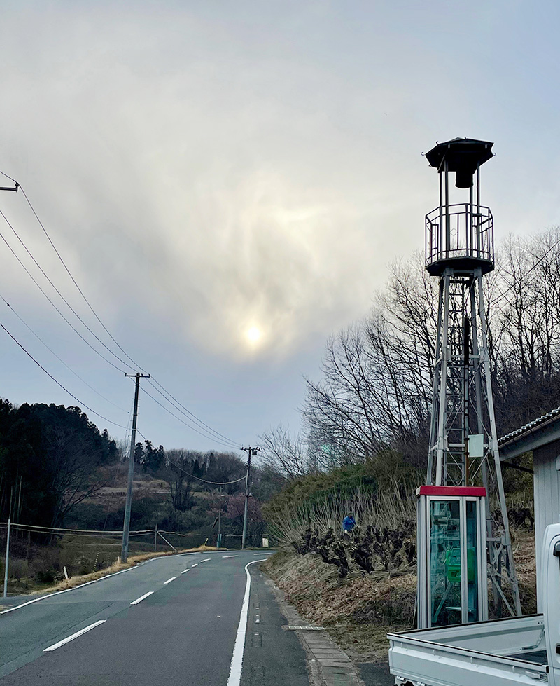 桑畑で剪定をしていた写真
