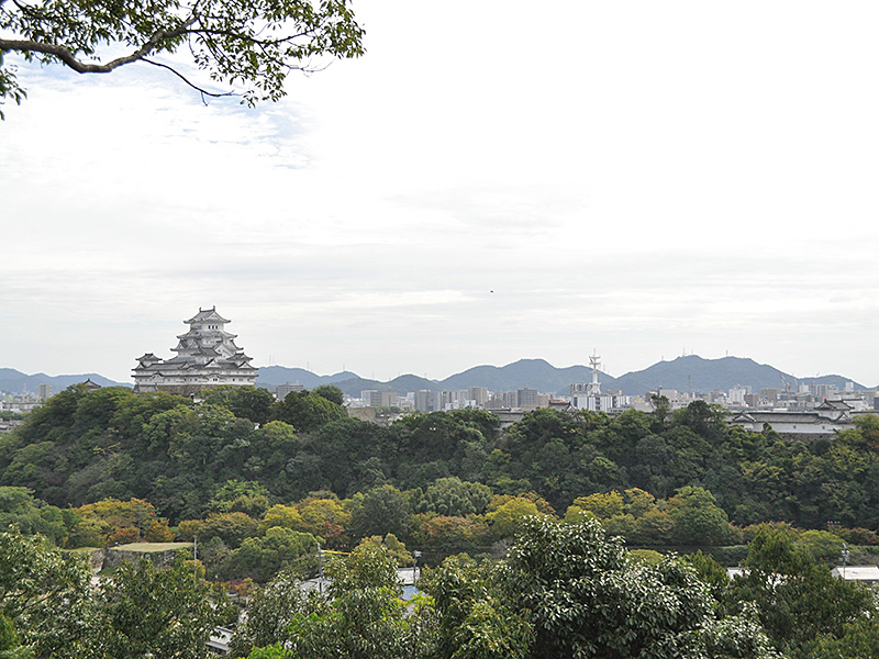 シロトピア記念公園の写真