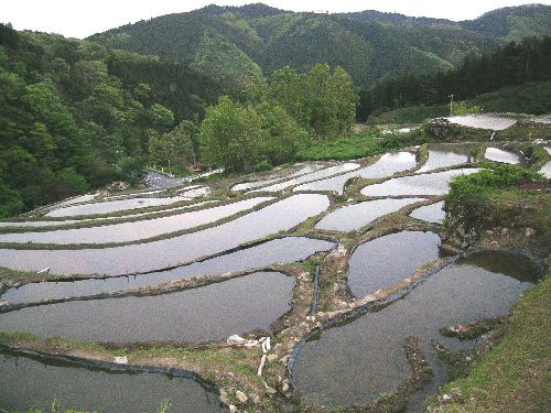 神在居 棚田