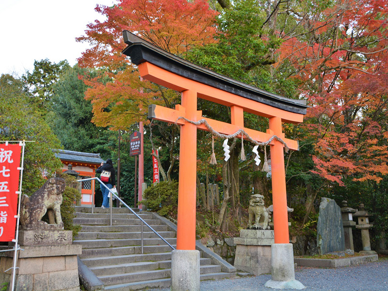 >宇治神社の写真