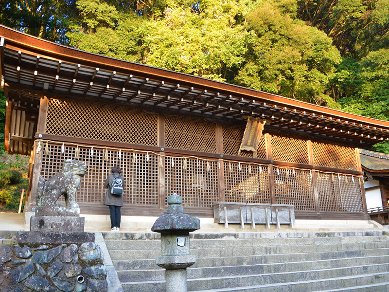 宇治上神社の写真