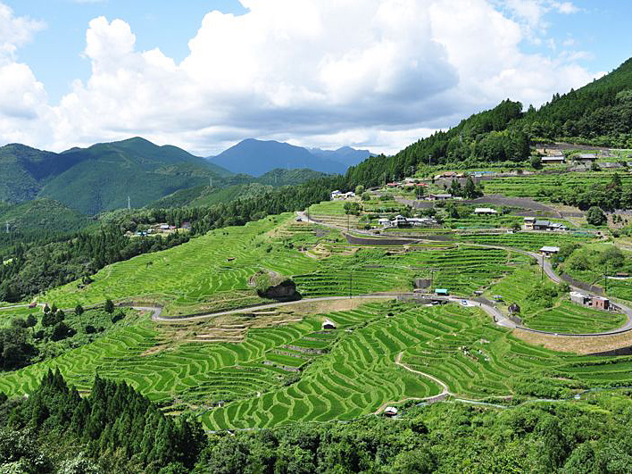 丸山千枚田の写真1