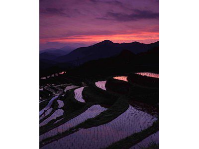 丸山千枚田の写真2