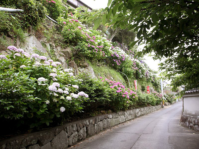 大慈寺の石塀の写真