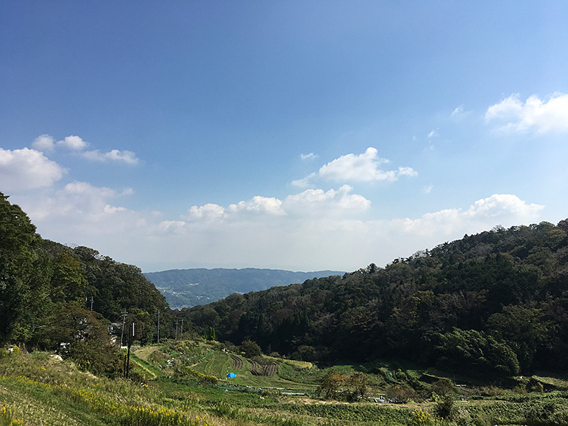 14.振り返って一息