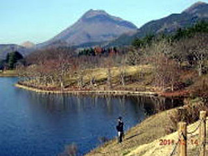 志高湖(由布岳)の写真