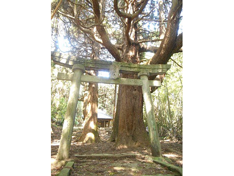 愛宕神社の写真