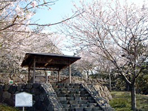 城下公園の写真
