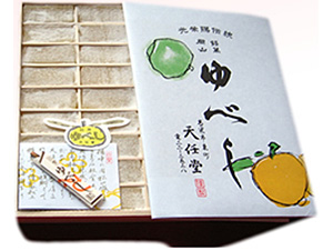 銘人列伝100 土屋 天任堂