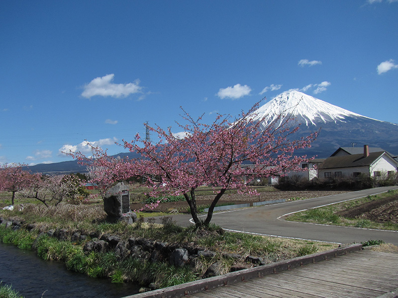 原川親水公園の写真