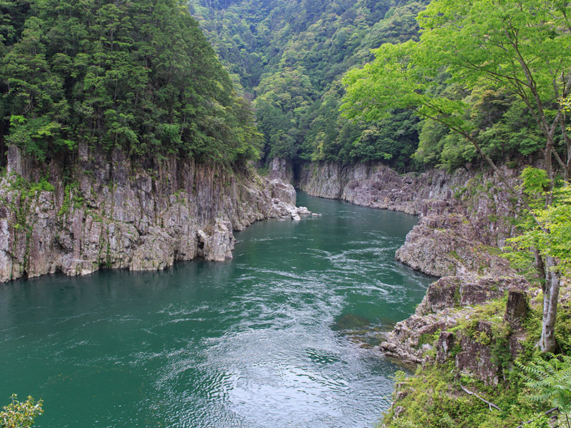 奇岩が続く瀞峡・瀞八丁（どろはっちょう）を川舟で巡るの写真1