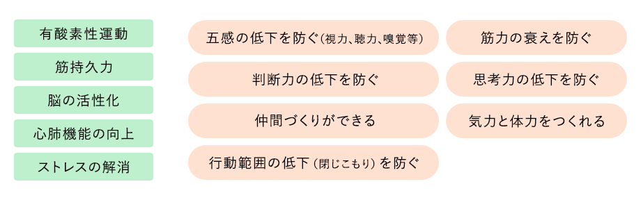 有酸素性運動 筋持久力 脳の活性化 心肺機能の向上 ストレスの解消　五感の低下を防ぐ（視力、聴力、嗅覚等） 筋力の衰えを防ぐ 判断力の低下を防ぐ 思考力の低下を防ぐ 仲間づくりができる 気力と体力をつくれる 行動範囲の低下（閉じこもり）を防ぐ